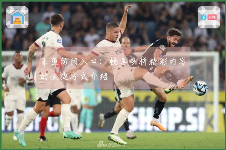 乐鱼访问入口:畅享多样精彩内容的快捷方式介绍