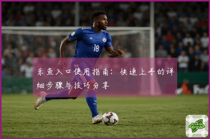 乐鱼入口使用指南：快速上手的详细步骤与技巧分享