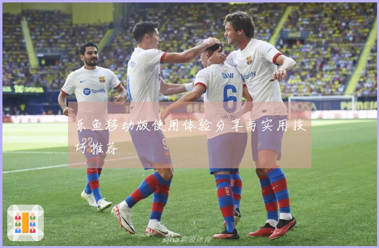 乐鱼移动版使用体验分享与实用技巧推荐