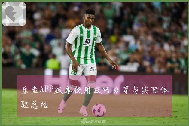 乐鱼APP版本使用技巧分享与实际体验总结