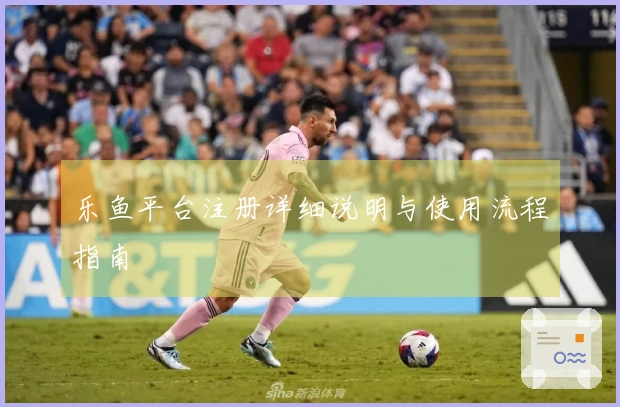 乐鱼平台注册详细说明与使用流程指南