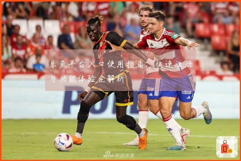 乐鱼平台入口使用指南：快速注册与功能体验全解析